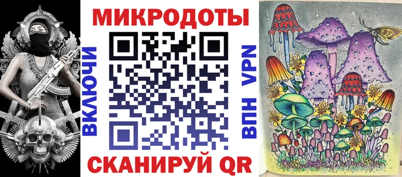 Купить закладки  Славгород  Псилоцибиновые грибы Magic Shrooms 